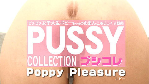 Poppy Pleasure 実録