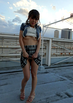 Japanese Hikari Sumida Two Dengan Murid jpg 11