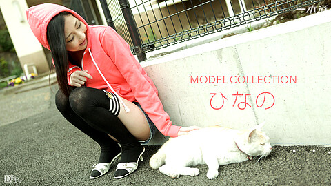 Hinano Osawa Model Collection